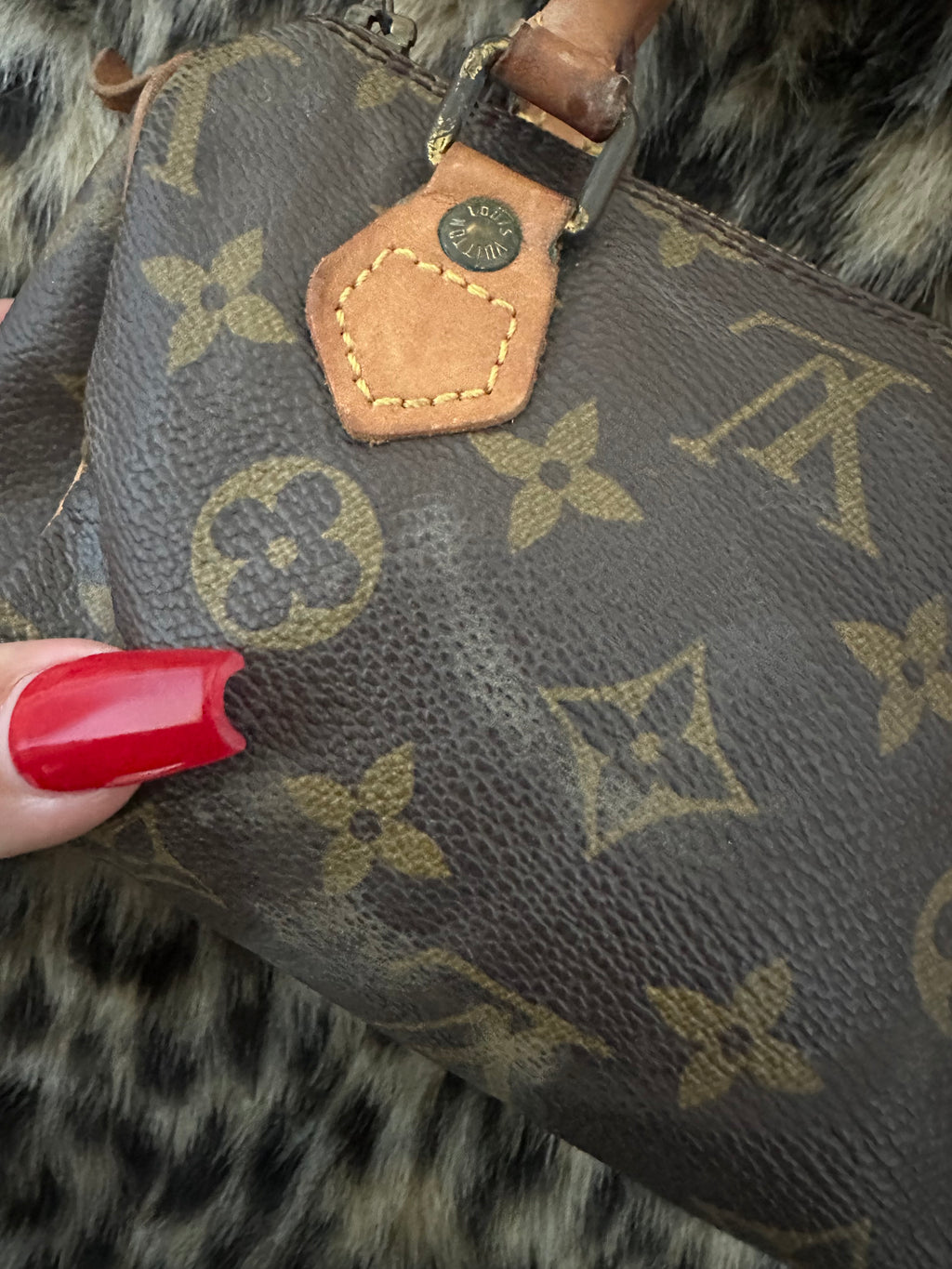 Louis Vuitton nano speedy