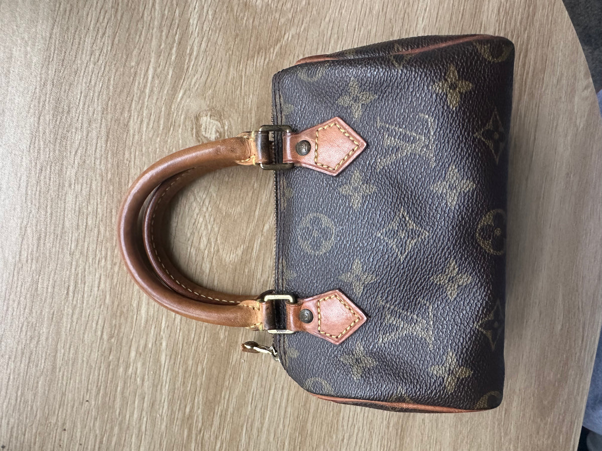 Louis Vuitton nano speedy