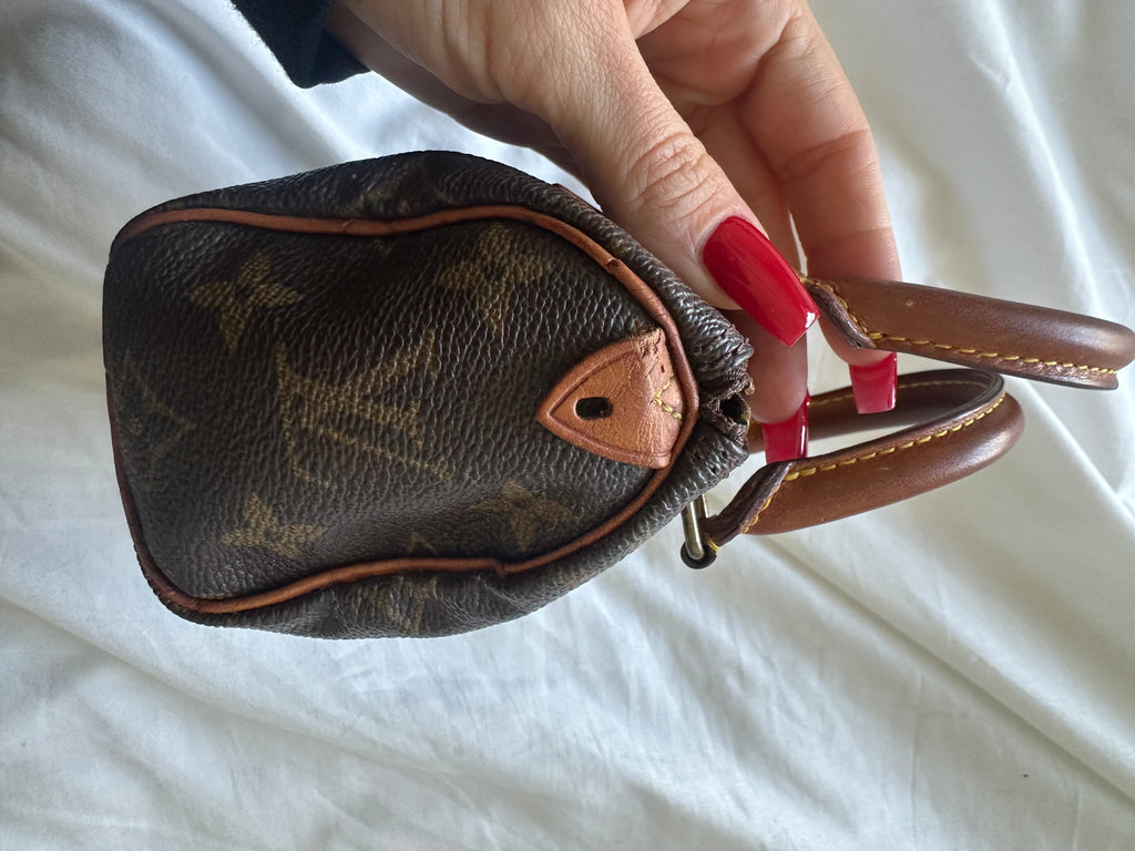 Louis Vuitton nano speedy