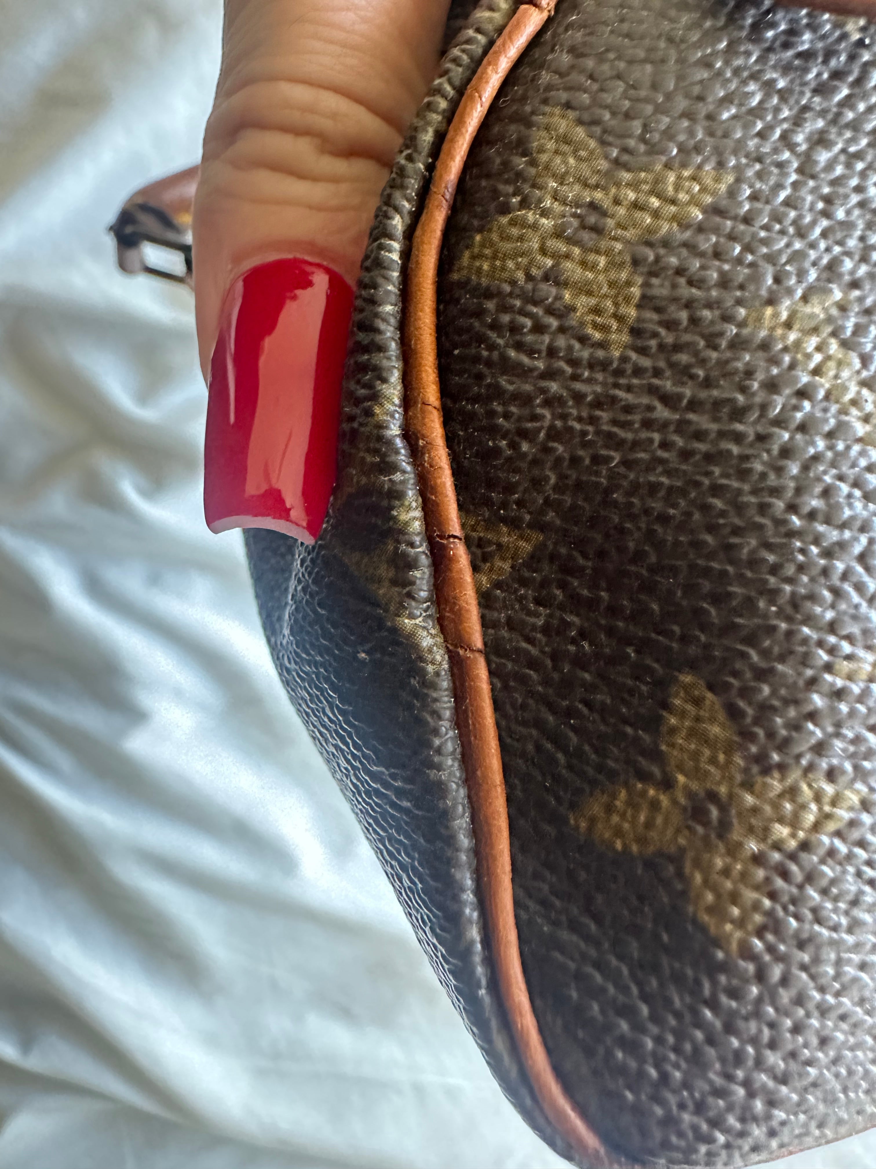 Louis Vuitton nano speedy
