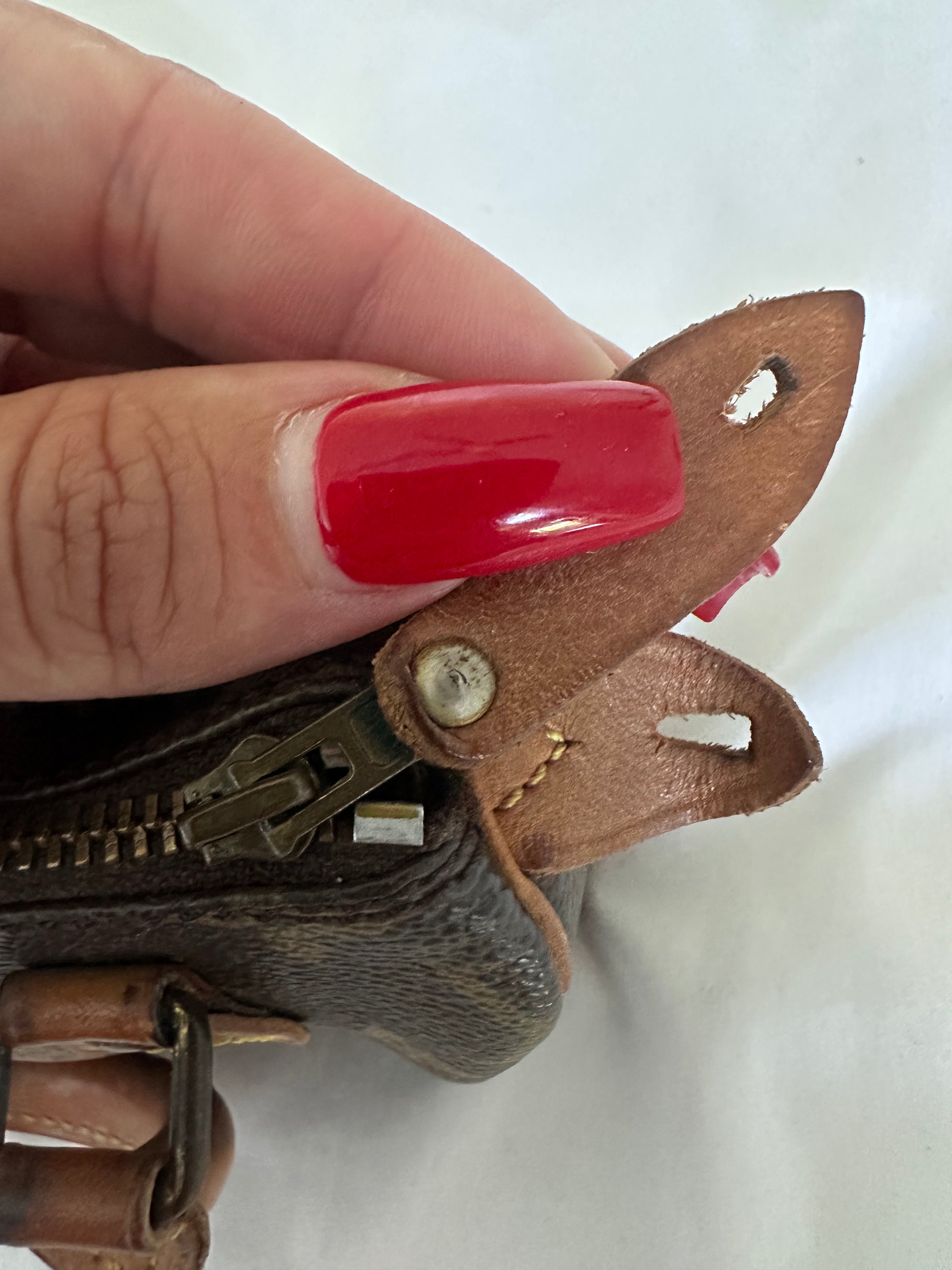 Louis Vuitton nano speedy
