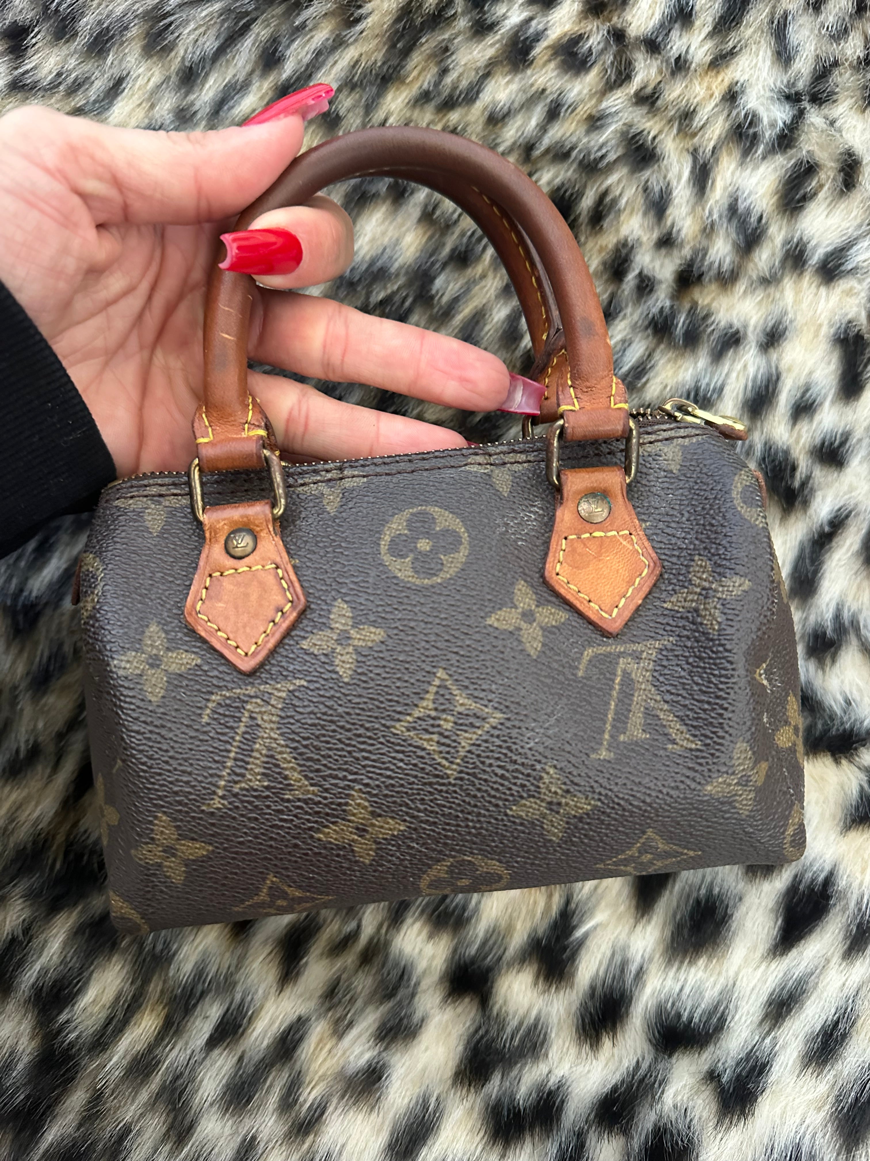 Louis Vuitton nano speedy