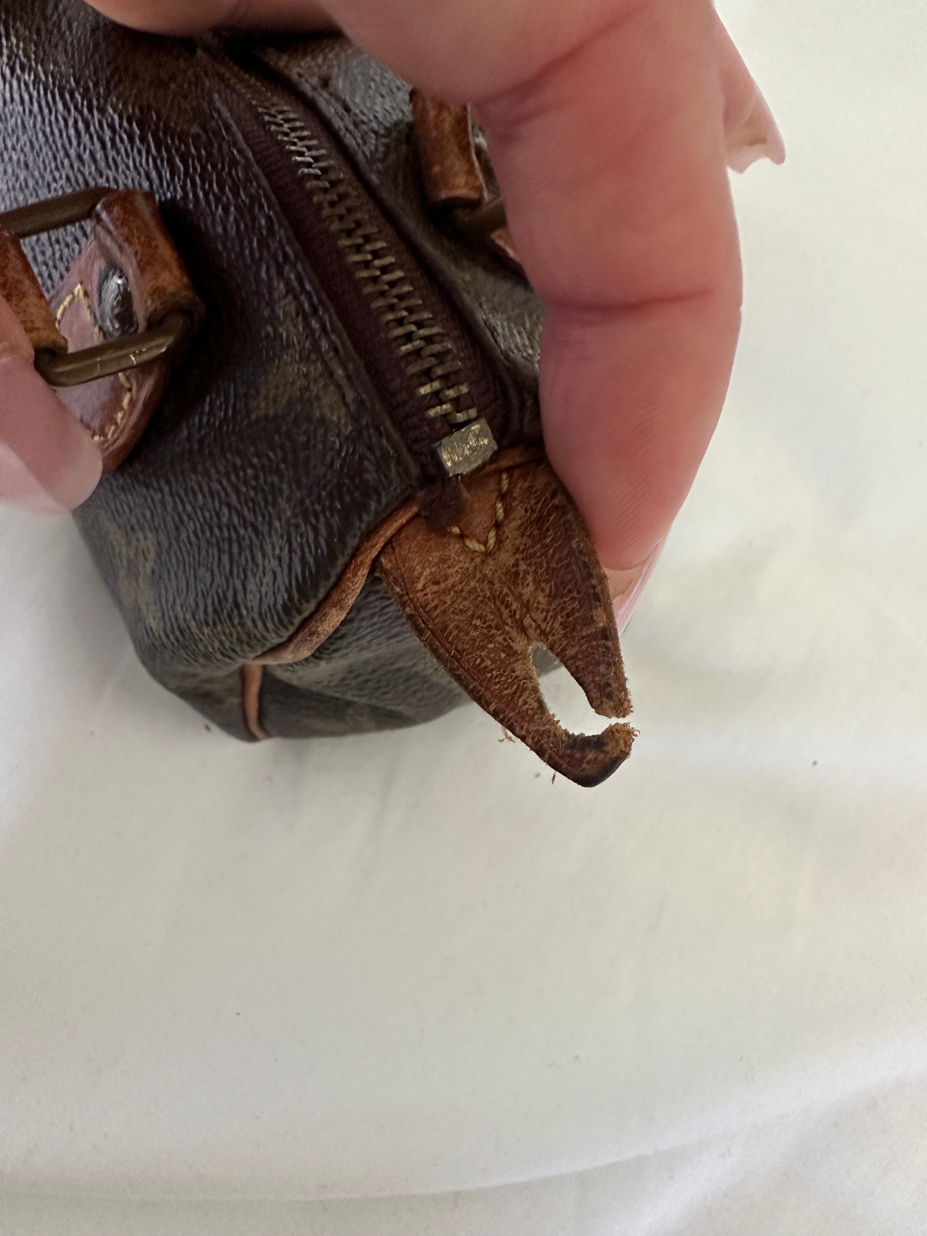Louis Vuitton nano speedy
