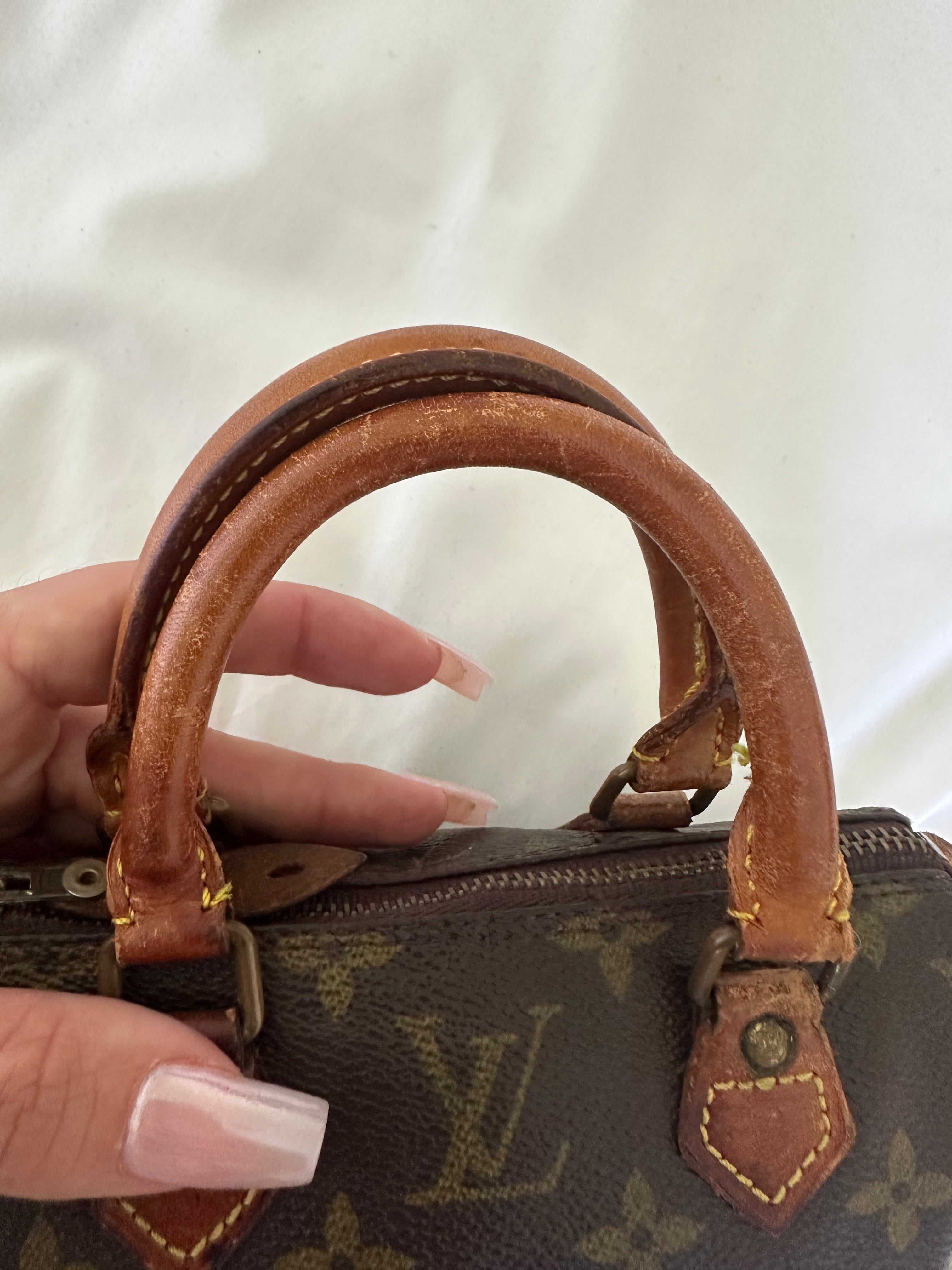 Louis Vuitton nano speedy