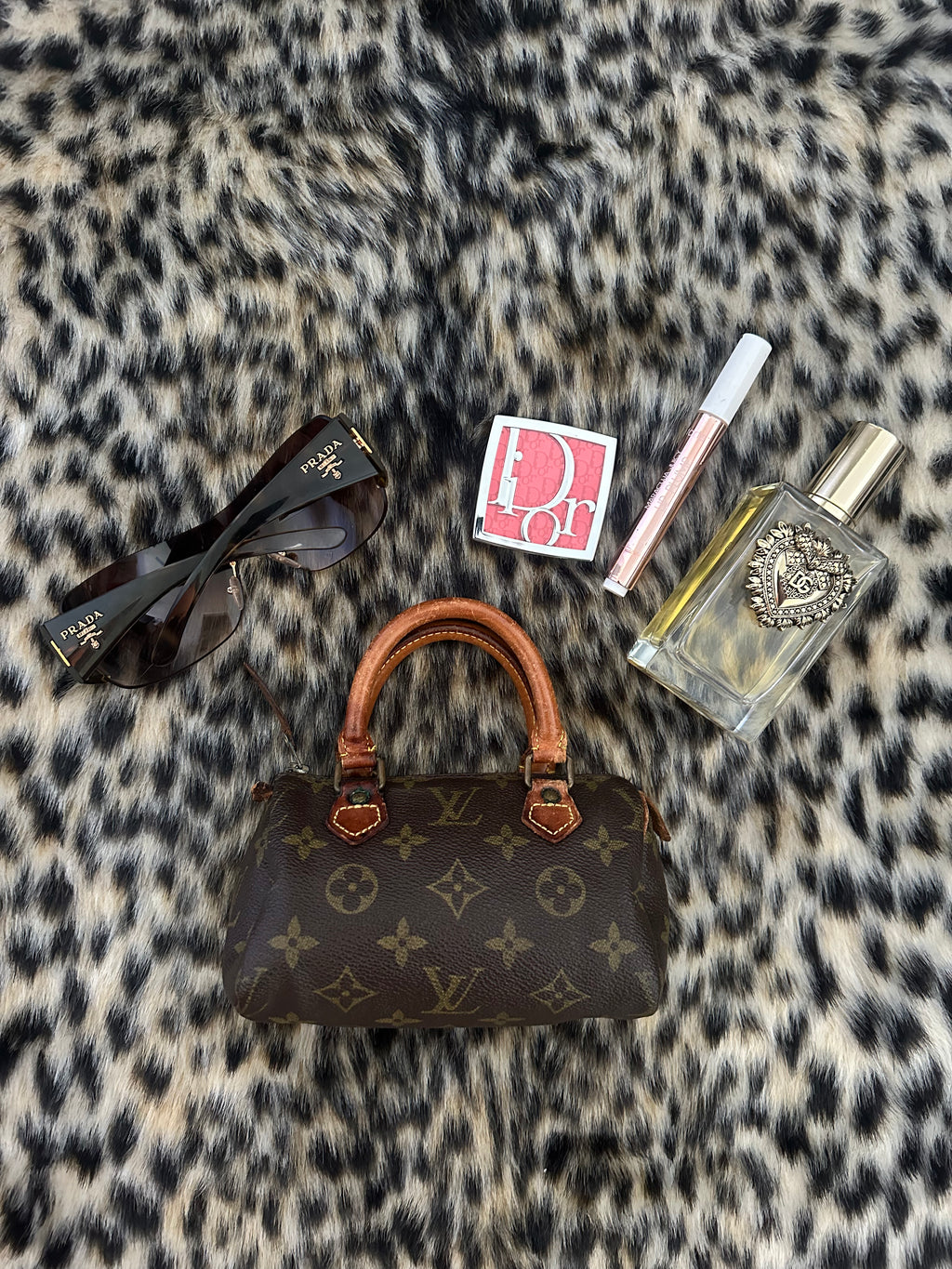 Louis Vuitton nano speedy